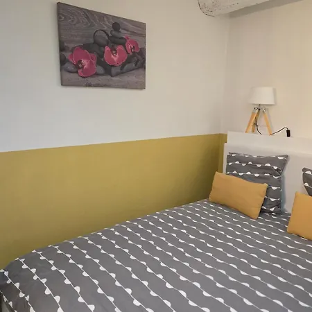 Le Petit Triomphe, Hyper Centre, Proche Peyrou, Wifi Apartamento *